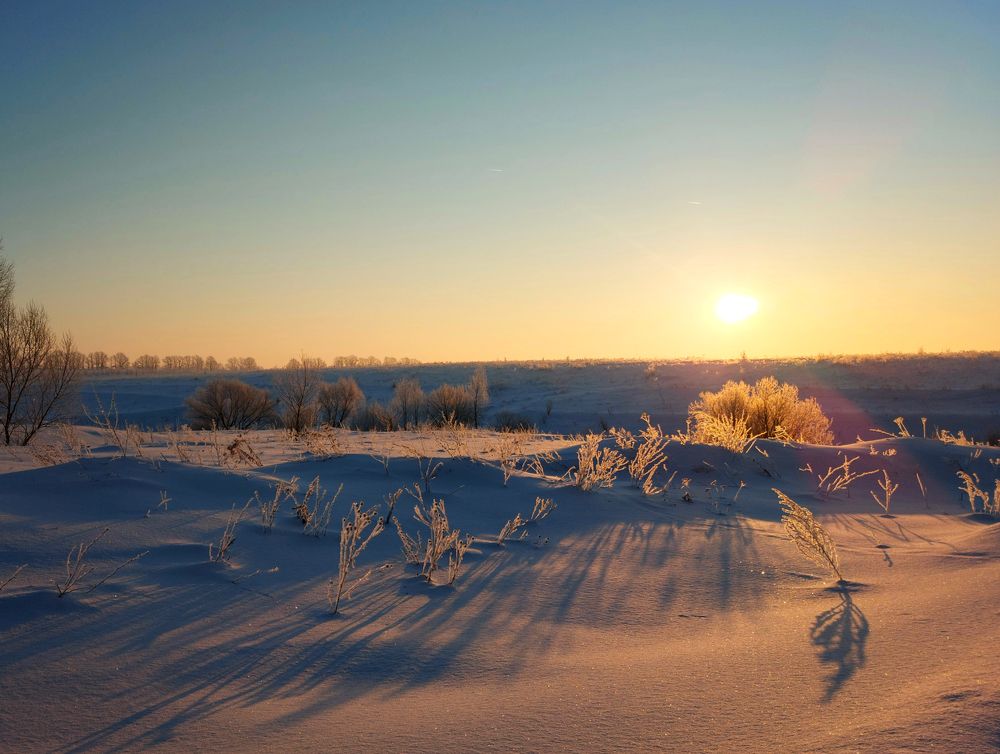 Холодное солнце