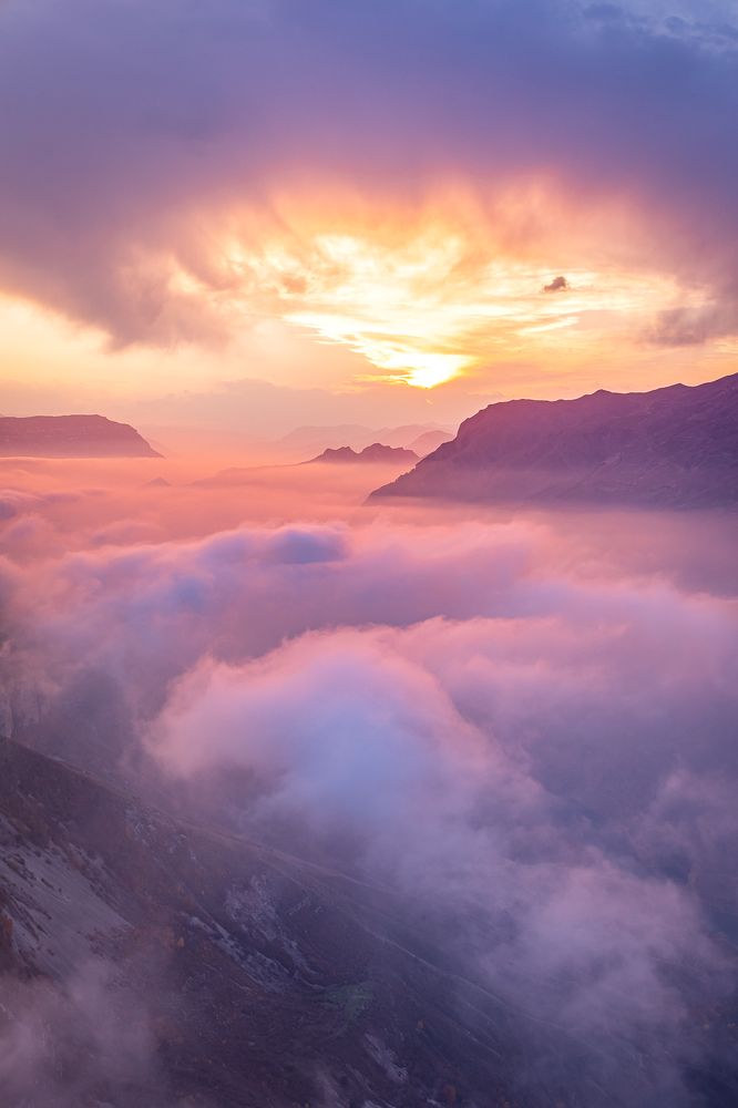 Фотография автора Лана Григорьева