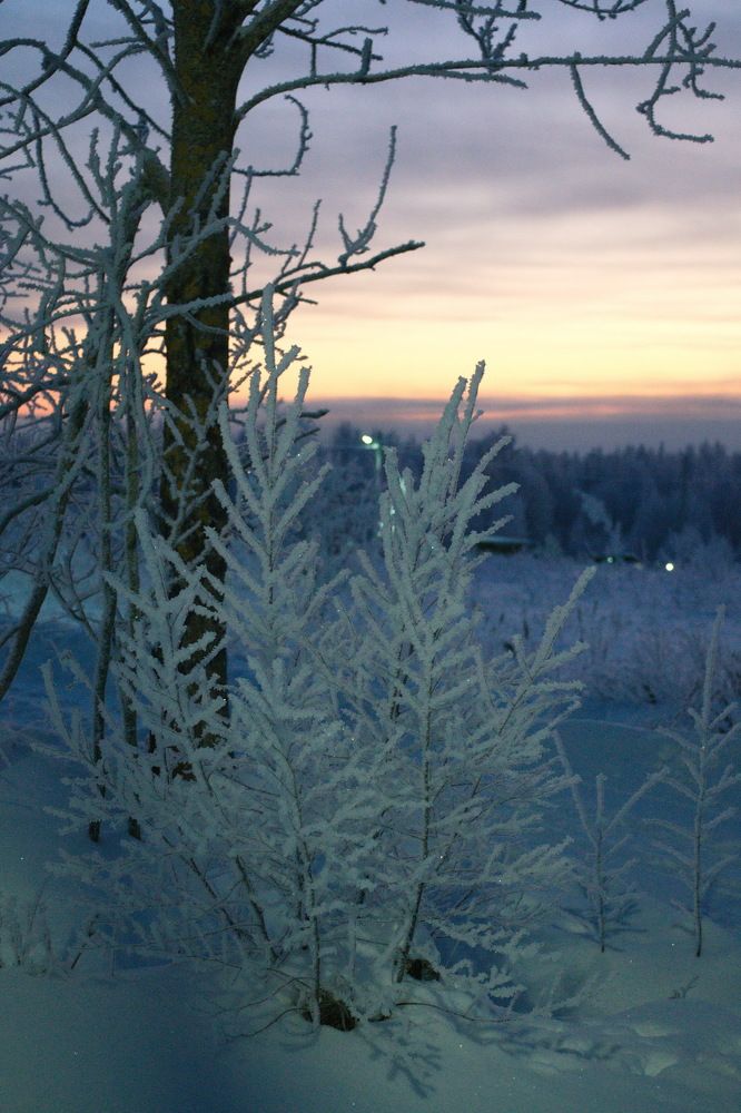 Photograph by Александр Морозов