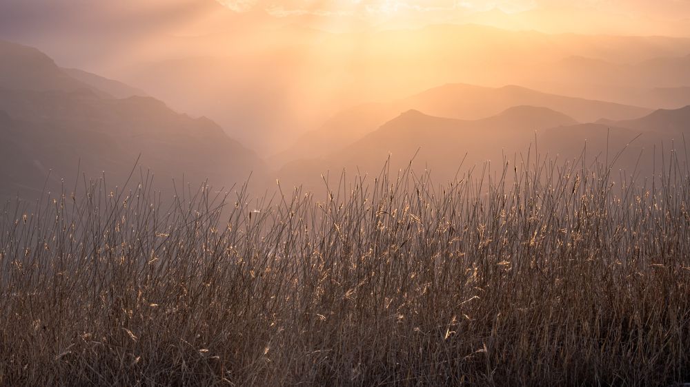 Фотография автора Лана Григорьева