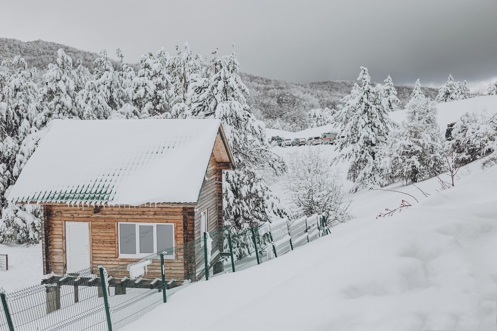 Photograph by Ника Касперская