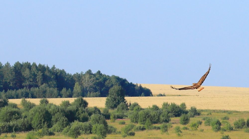 Photograph by Владимир Урбанович