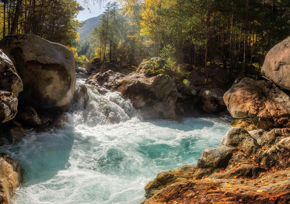 Фотография автора Шевченко Юрий