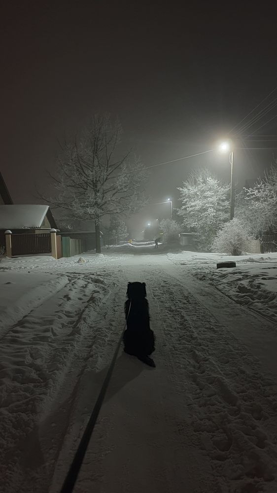 Зимняя Чапаевка