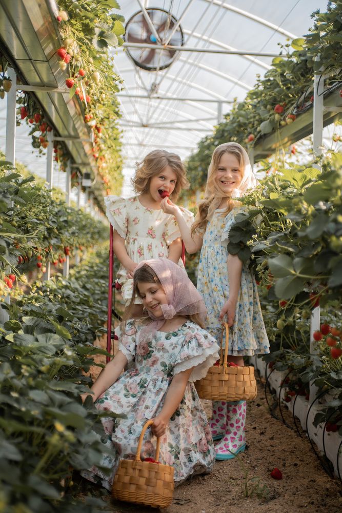 Photograph by Дарья Диас Валдес (Исачкина)