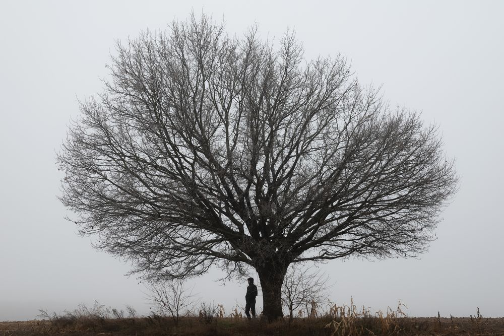 Photograph by Ольга Бегляк