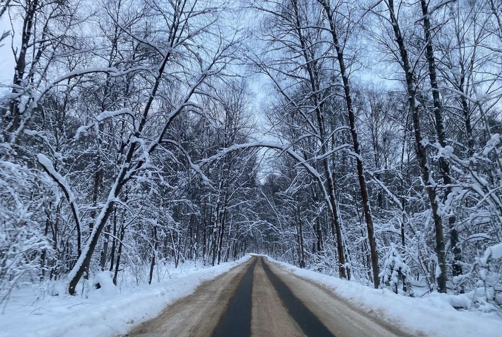 Photograph by Екатерина Амирасланова