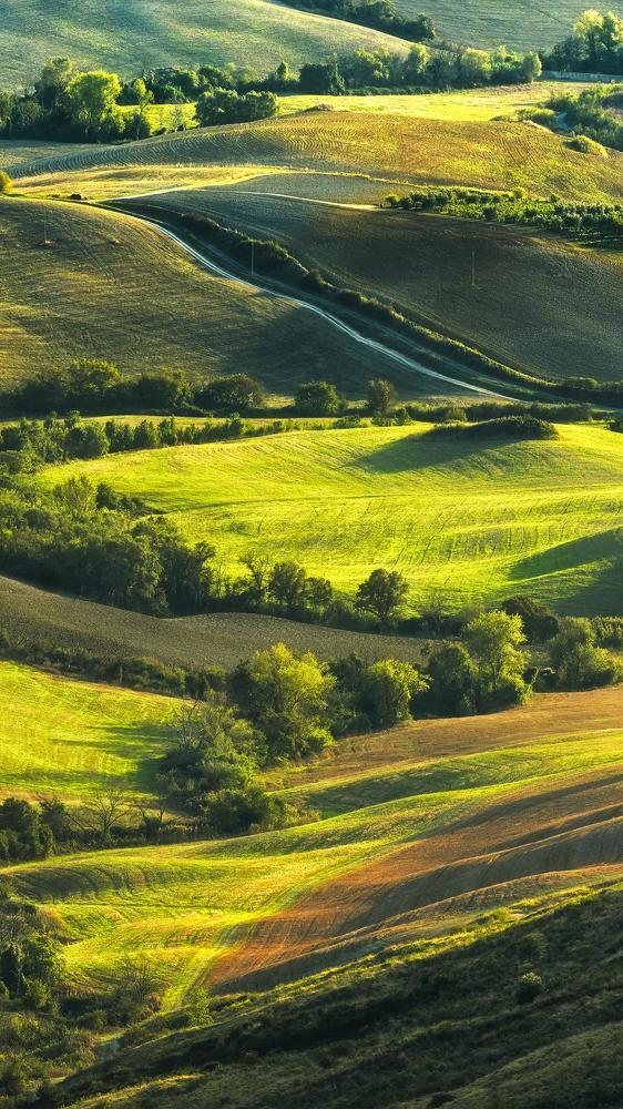 Photograph by Сергей Минин