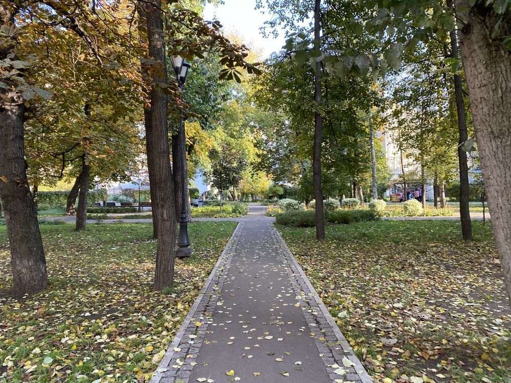 Photograph by Екатерина Амирасланова