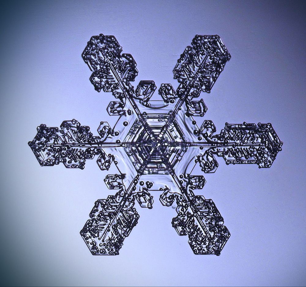 Снежинка февраля.