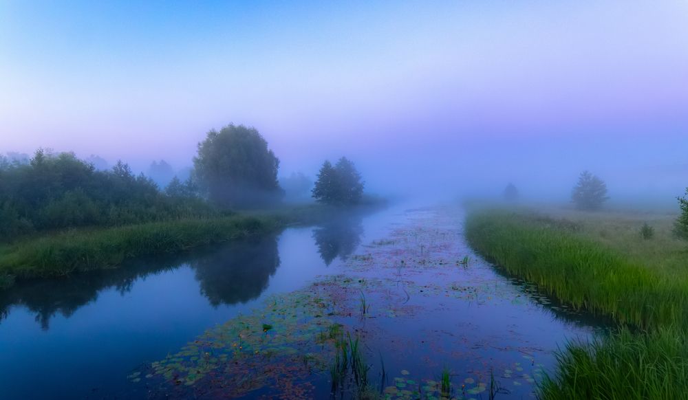 Photograph by Устинов Артём