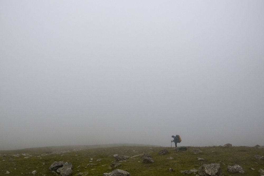 Photograph by Анастасия Плахотникова