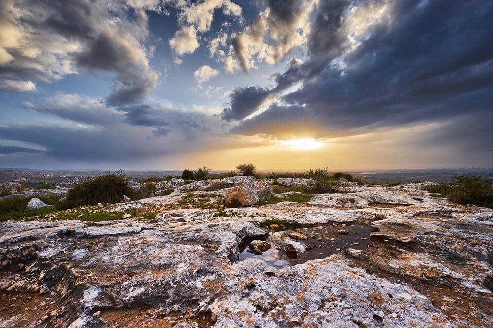 Фотография автора David Solodar