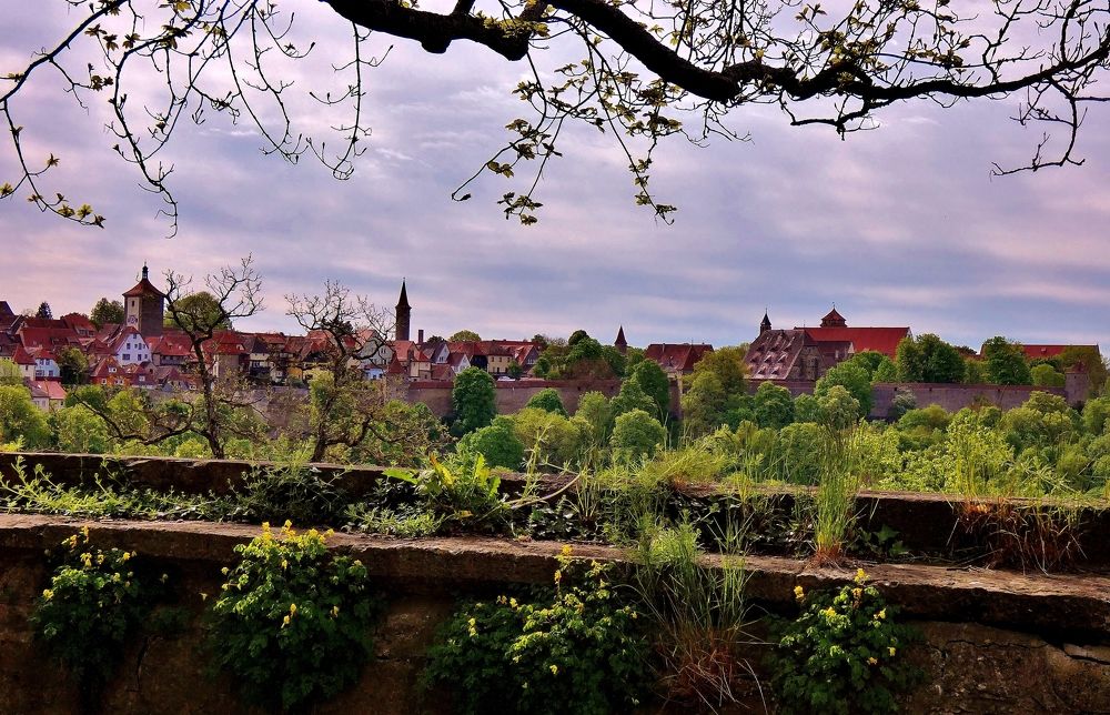 Photograph by backareva irina