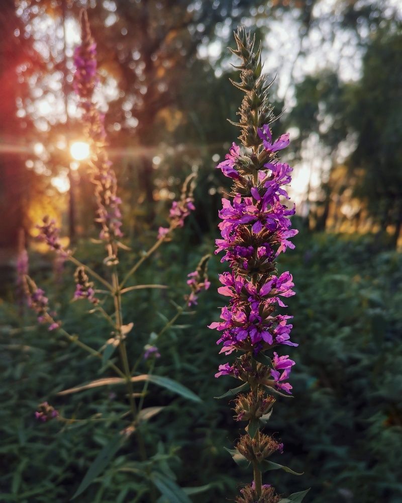 Photograph by Анастасия