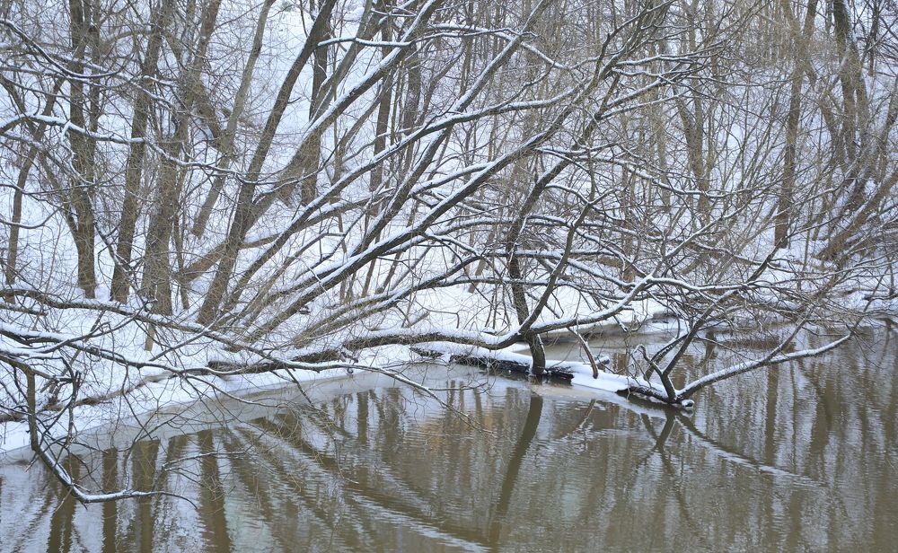 Photograph by Станислав Вершинин