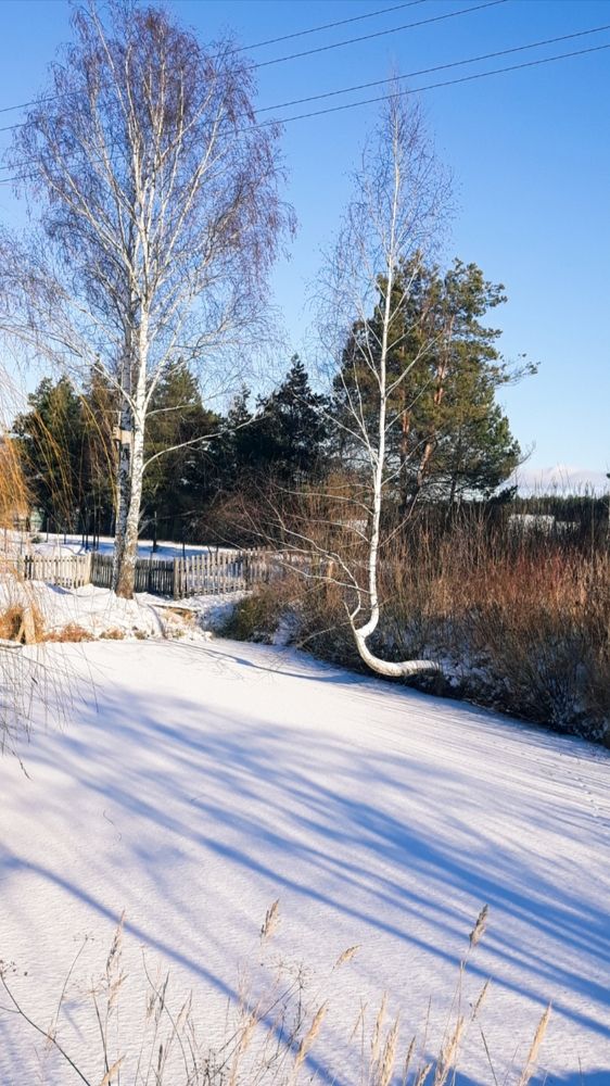Хорошая погода в один из зимних дней