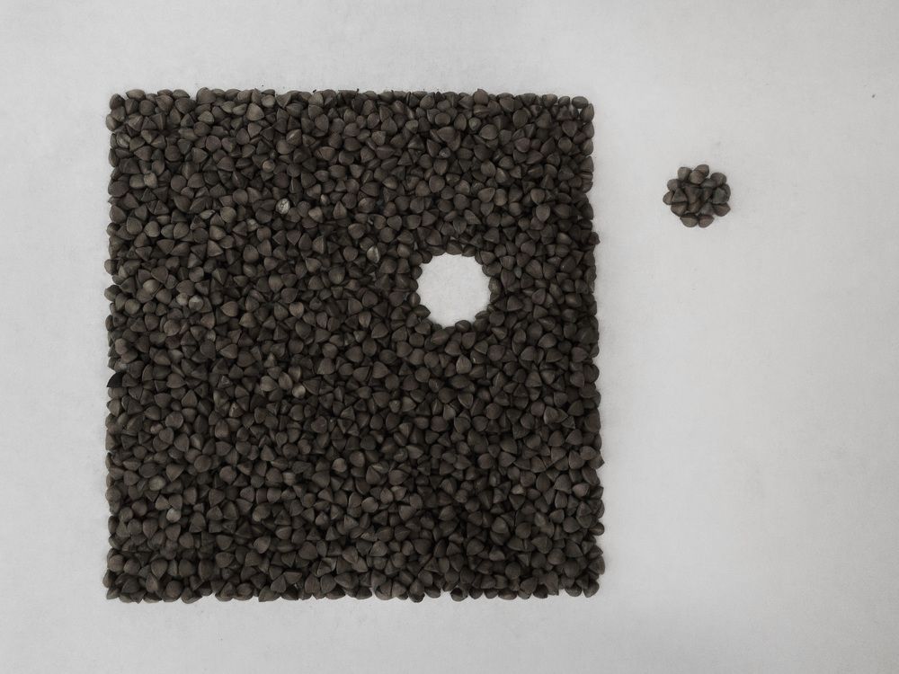 Photograph by Светлана Коваль