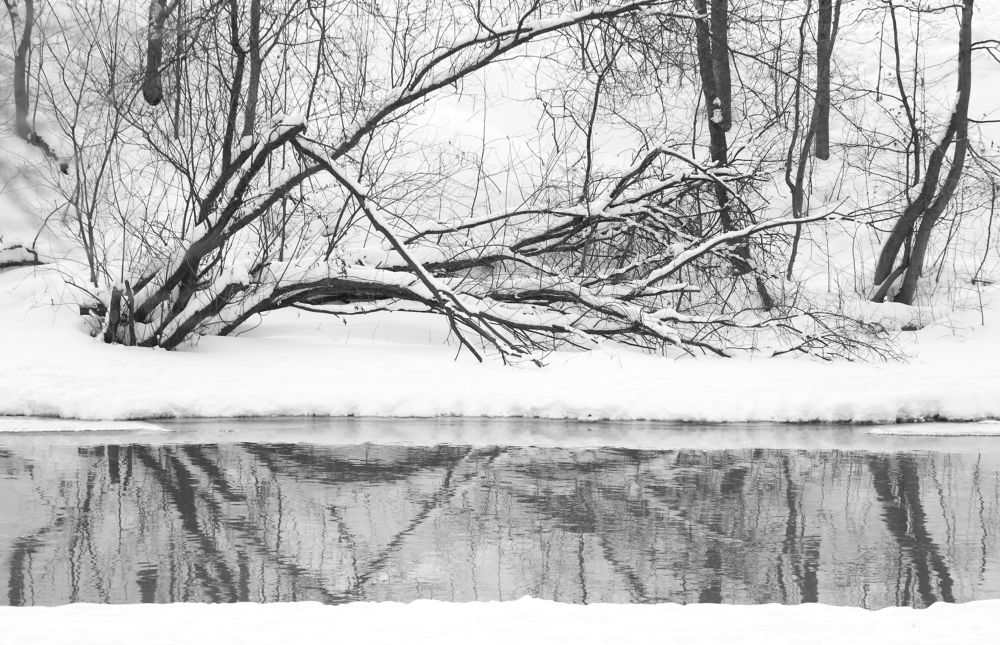 Photograph by Станислав Вершинин