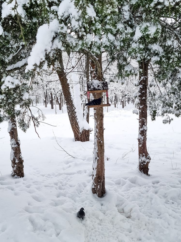 Photograph by Лариса Когтева