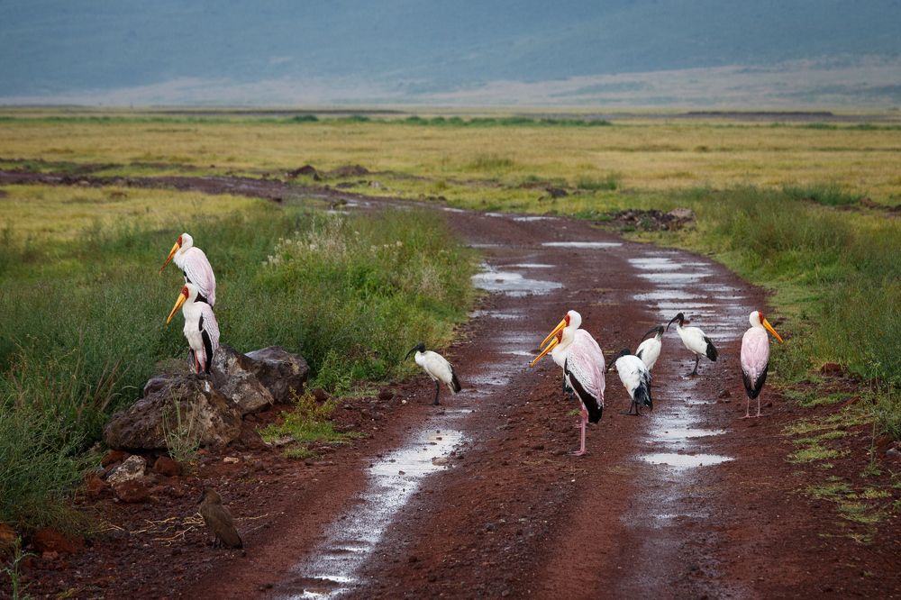 Photograph by Evgeny S