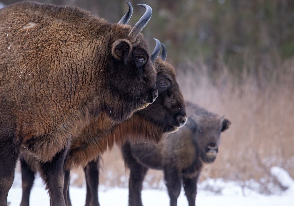 Photograph by Evgeny S