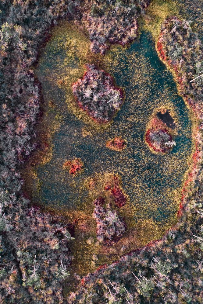 Photograph by Evgeny S