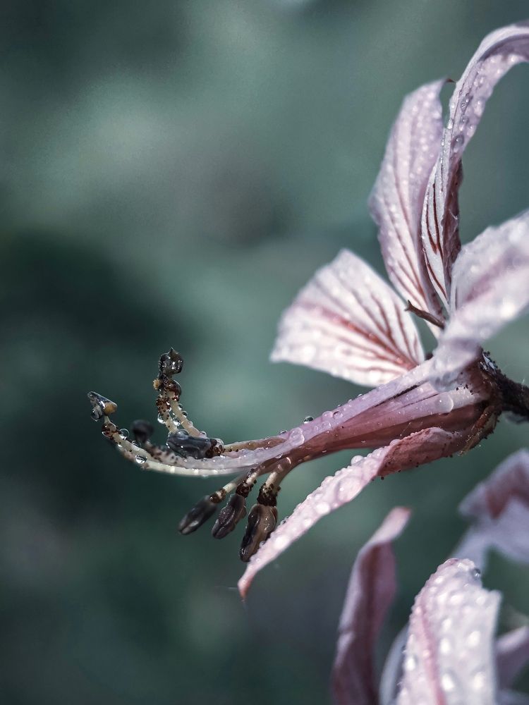 Photograph by Виолетта Афанасьева