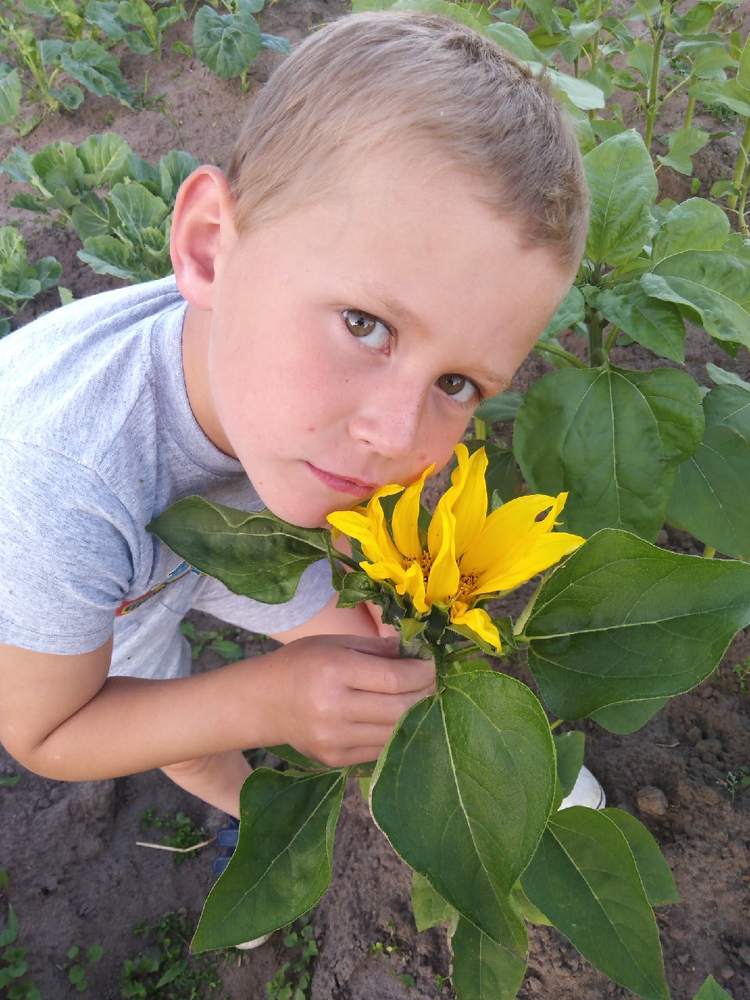 Фотография автора Сергей Минин