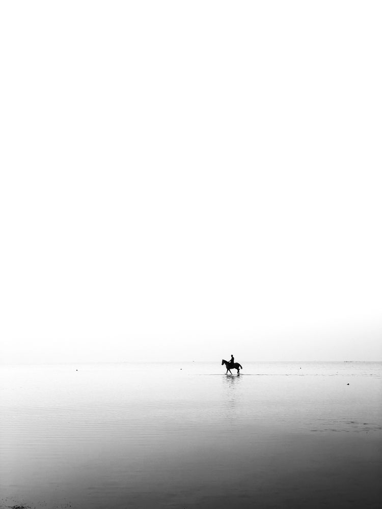 Photograph by Mohtadi