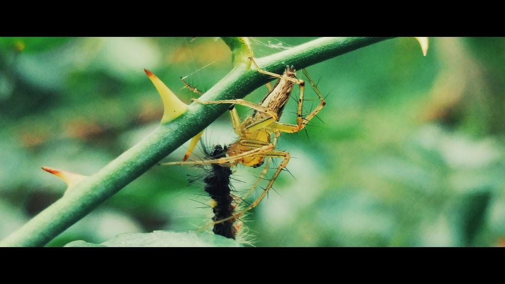 Photograph by Dương Nguyễn