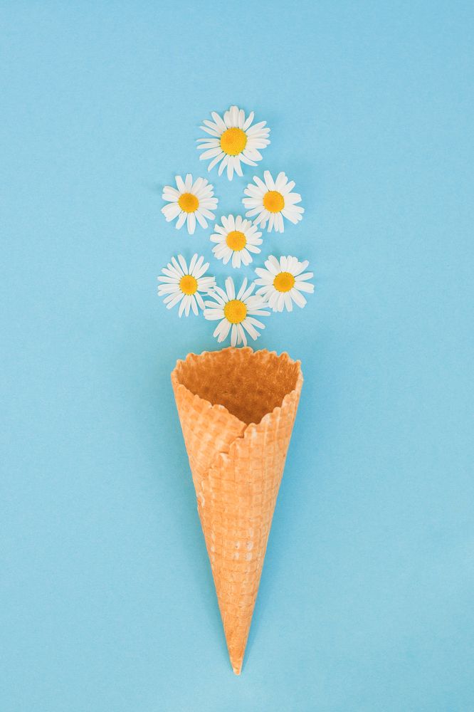 Фотография автора Елена Ельшина