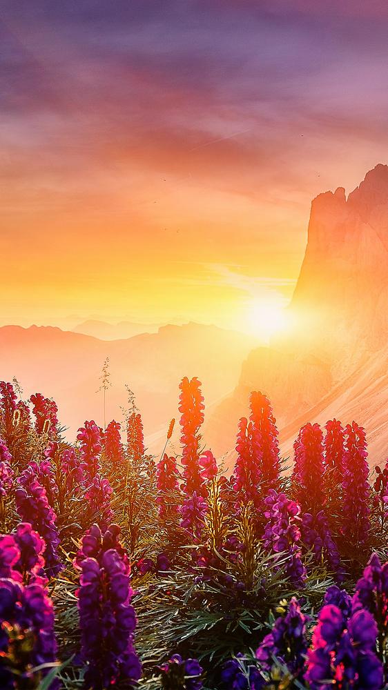 Photograph by Сергей Минин