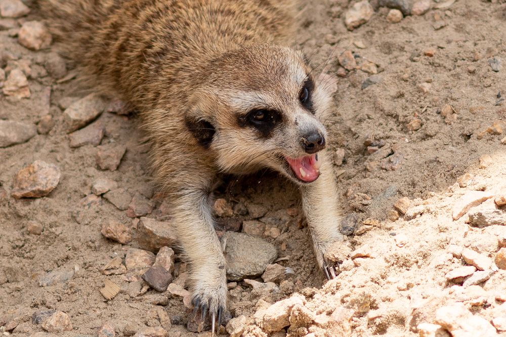 Photograph by Elisabeth