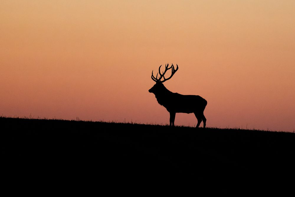 Photograph by Kreicbergs Maris