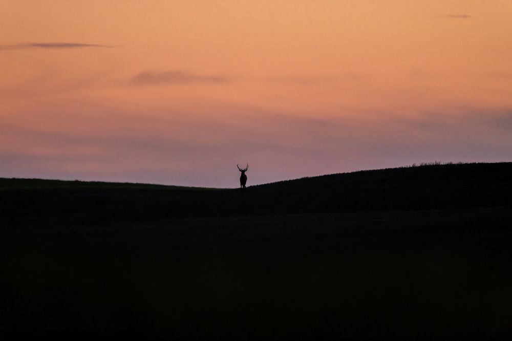 Photograph by Kreicbergs Maris