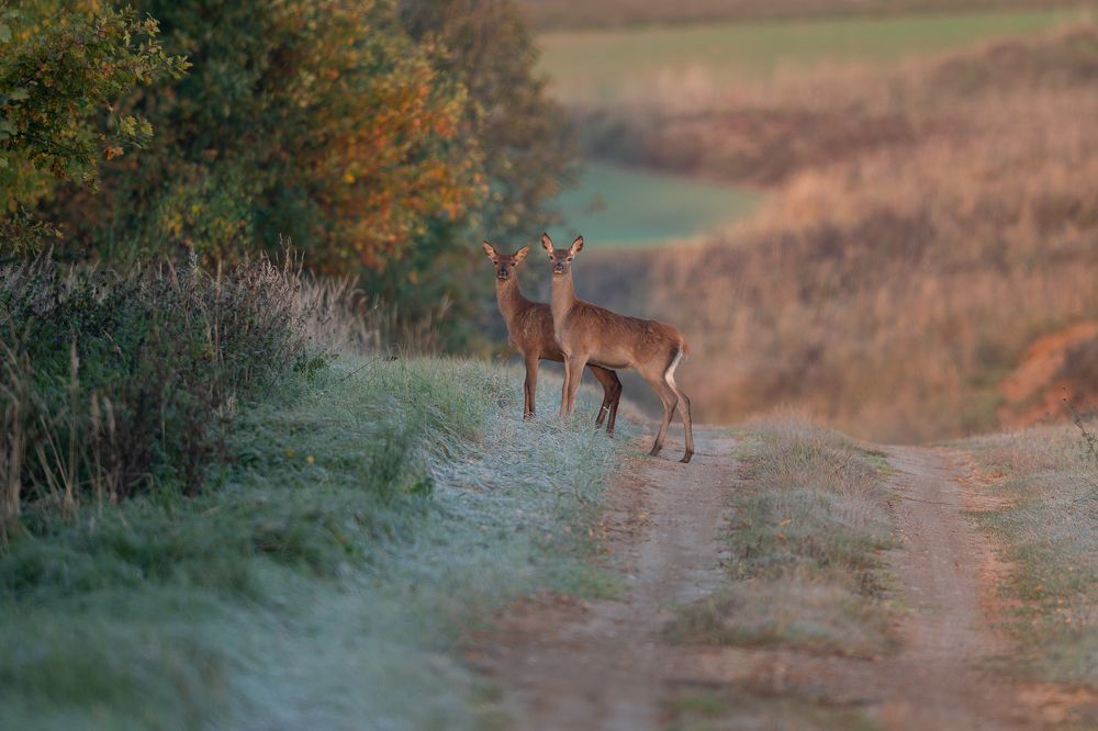 Photograph by Kreicbergs Maris