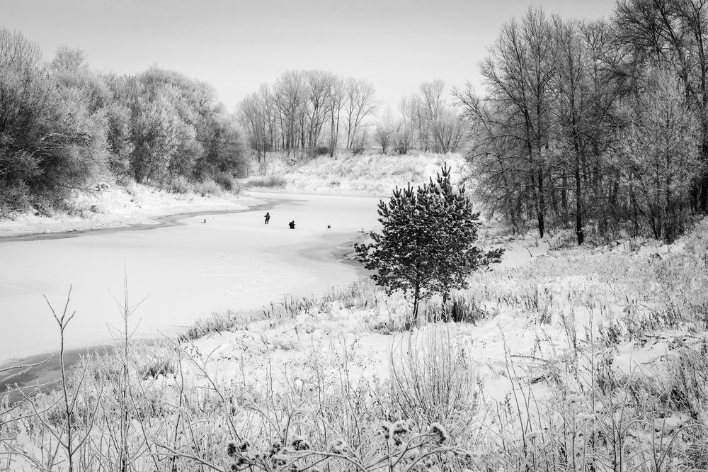 Photograph by vyacheslav korobov