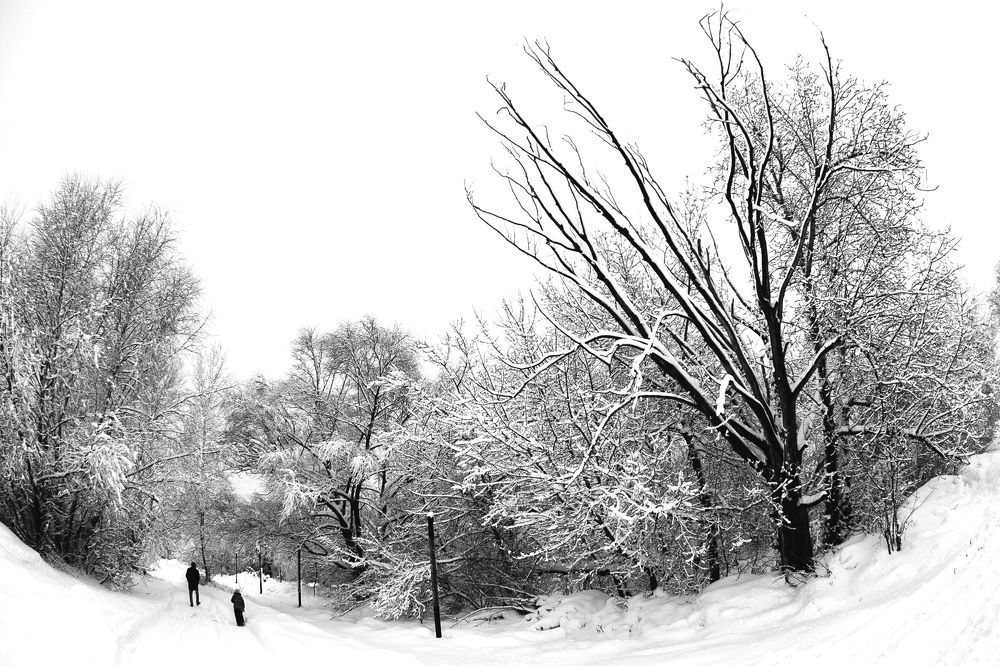 Photograph by Яна Соболева