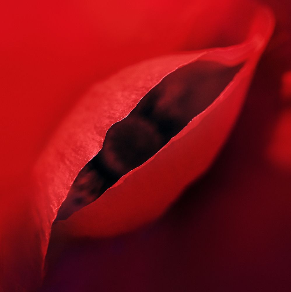 Photograph by Aleksei Kazakov