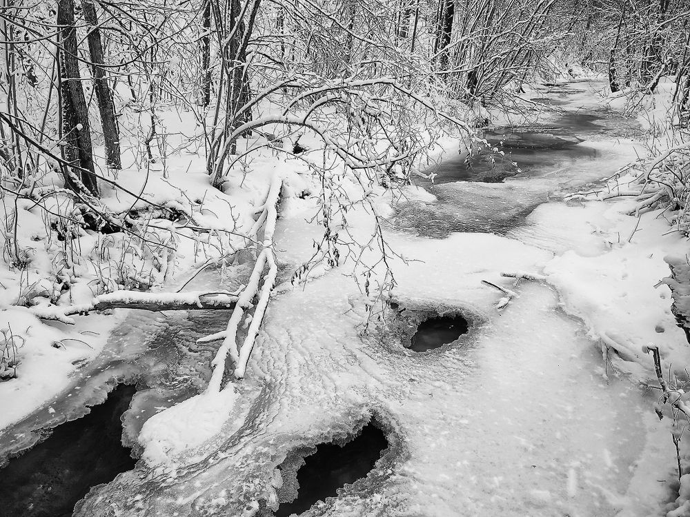 Фотография автора Сергей Сынтин