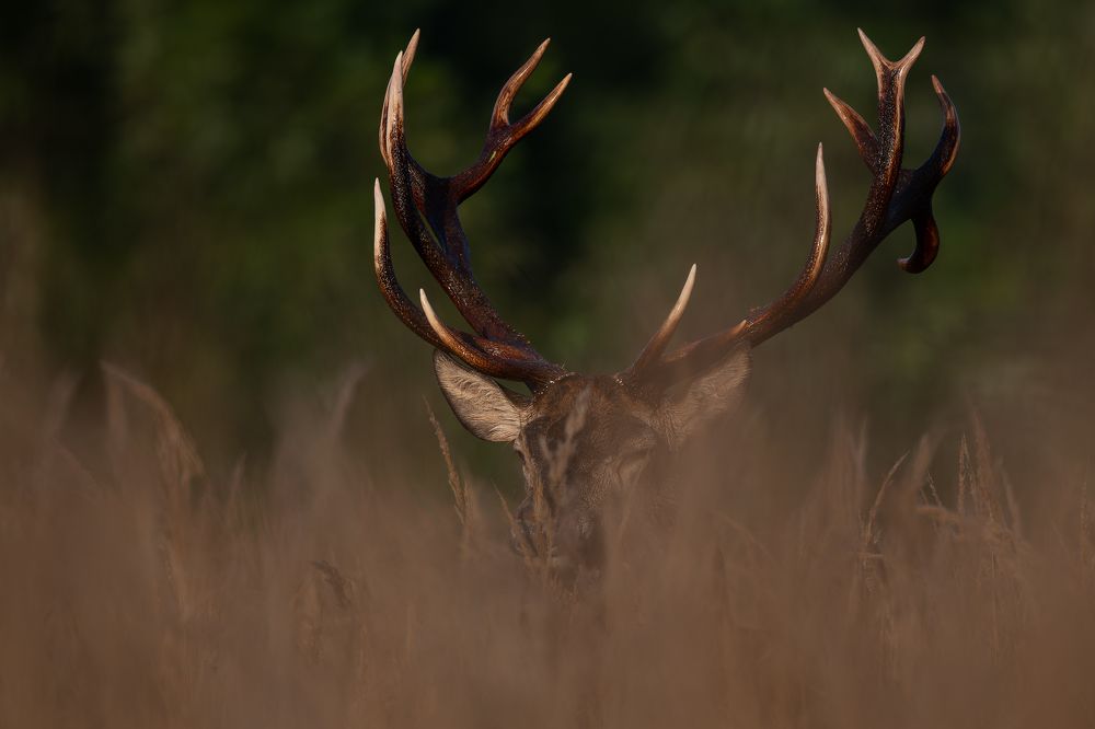 Photograph by Kreicbergs Maris