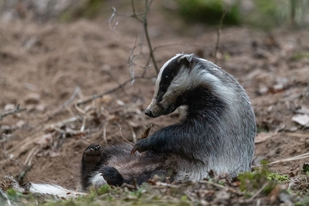 Photograph by Kreicbergs Maris