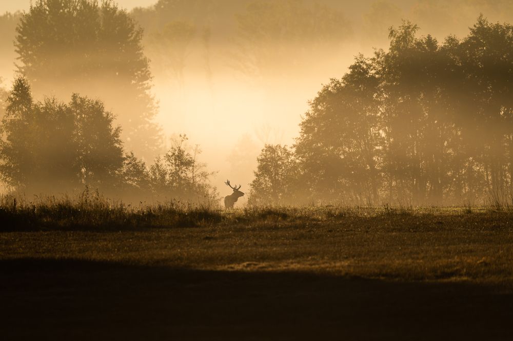 Photograph by Kreicbergs Maris