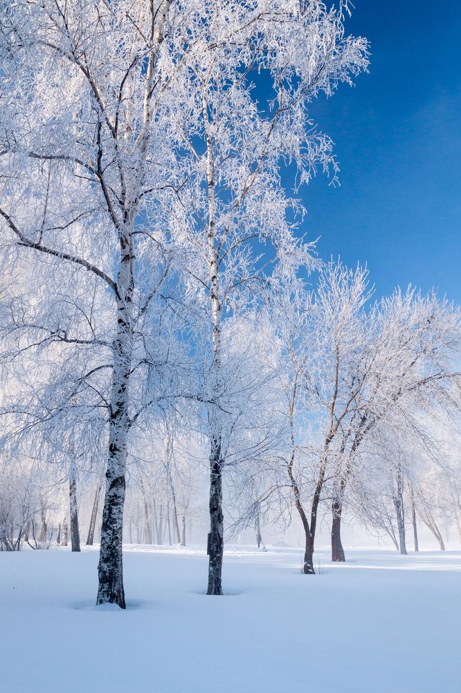 Photograph by vyacheslav korobov