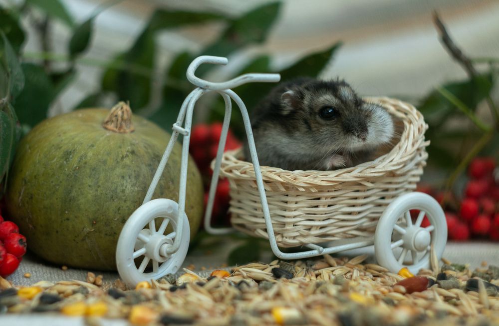 Photograph by Яна Соболева