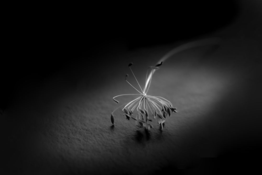 Photograph by Валентин Завьялов