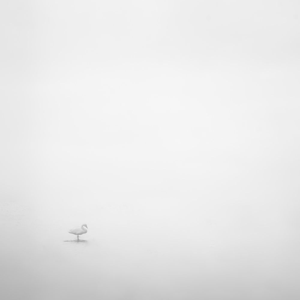 Photograph by Елена Курзина