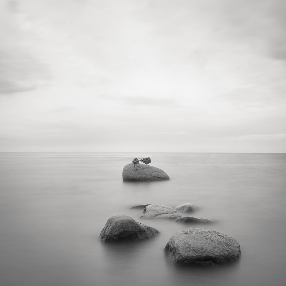 Photograph by Елена Курзина