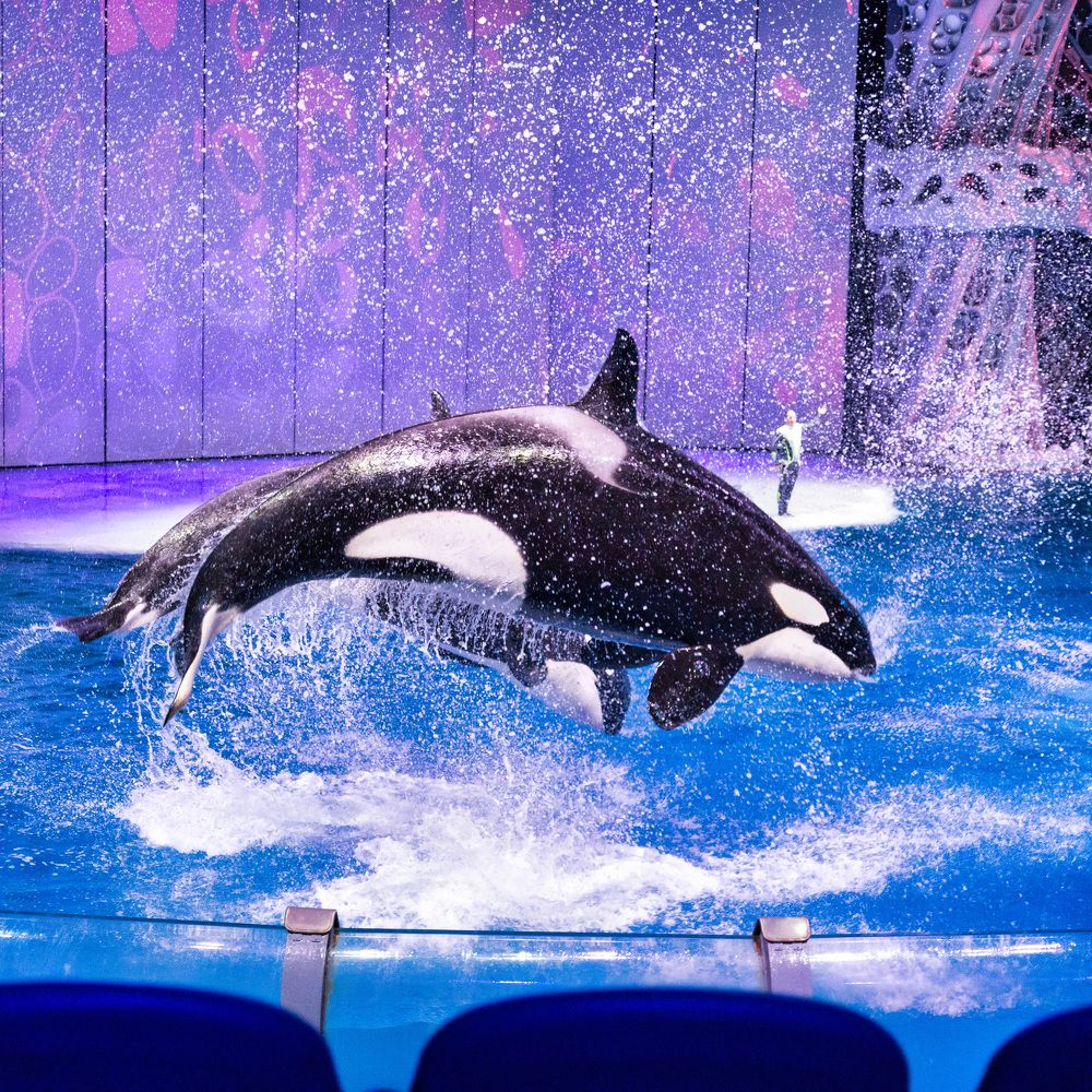 Photograph by Валерий Петухов